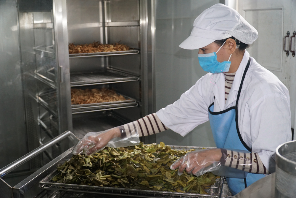 Khu nhà xưởng được đầu tư nhiều máy móc hiện đại: Máy nghiền, máy sấy, máy trộn, máy sàng, máy tạo hạt, đóng gói bao bì...