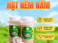 Hạt nêm nấm